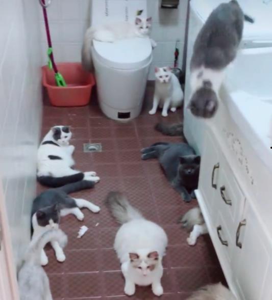 娱乐吃瓜酱出门忘关空调,娱乐吃瓜酱上演“电费刺客”