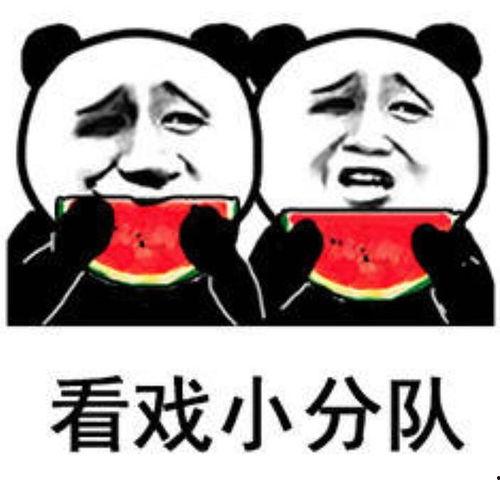 每天看娱乐吃瓜,笑谈娱乐圈风云