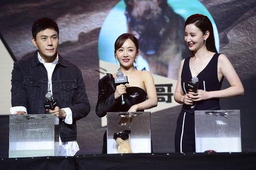 娱乐圈吃瓜汇总最新章节,最新章节揭秘明星幕后真相